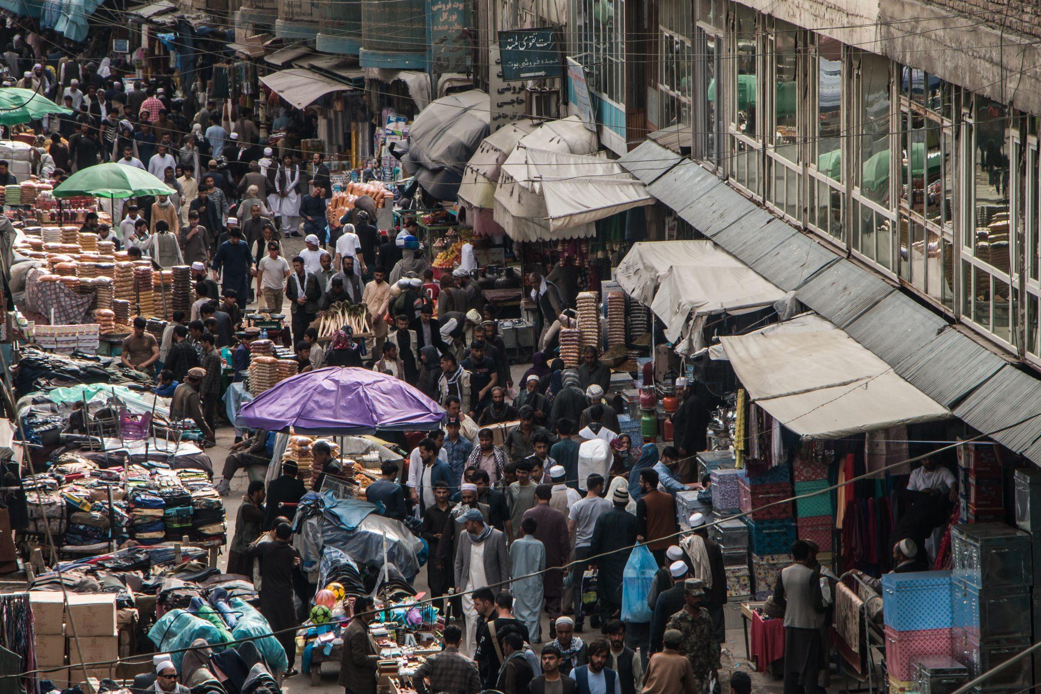 Home Budapest Process